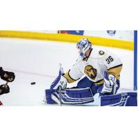 Newfoundland Growlers goaltender Eamon McAdam