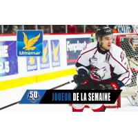 Peter Abbandonato of the Rouyn-Noranda Huskies
