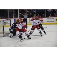 Gary Steffes and Dante Salituro of the Allen Americans