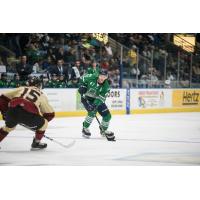 Florida Everblades defenseman Logan Roe vs. the Atlanta Gladiators