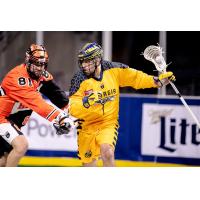 Georgia Swarm forward Holden Cattoni against the Buffalo Bandits