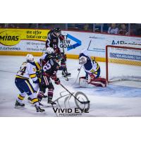 Niagara IceDogs battle the Erie Otters