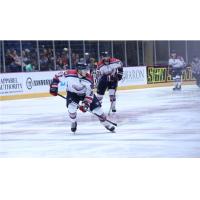 Evansville Thunderbolts center Chase Nieuwendyk