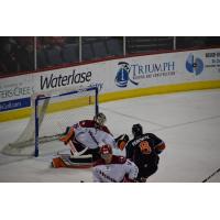 Allen Americans goaltender Lukas Hafner faces a Kansas City Mavericks shot