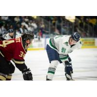 Florida Everblades forward Patrick Bajkov vs. the Atlanta Gladiators