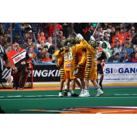 Georgia Swarm celebrate a goal against the Buffalo Bandits