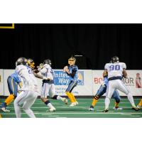 Cedar Rapids River Kings quarterback Kurt Palandech looks to pass against the San Diego Strike Force