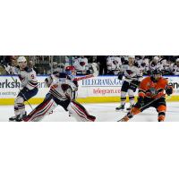 South Carolina Stingrays goaltender Parker Milner faces the Worcester Railers