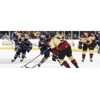 South Carolina Stingrays battle the Atlanta Gladiators