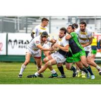 NOLA Gold vs. the Seattle Seawolves
