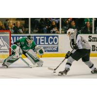 Texas Stars goaltender Landon Bow