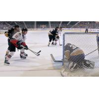 James Henry of the Adirondack Thunder (left) eyes the Newfoundland Growlers goal