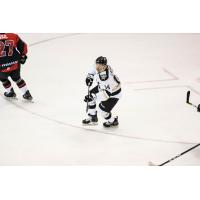 Wheeling Nailers forward Cedric Lacroix