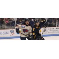 South Carolina Stingrays vs. the Norfolk Admirals