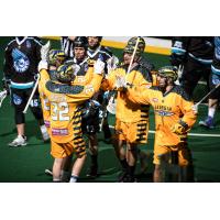 Georgia Swarm celebrate a goal against the Rochester Knighthawks