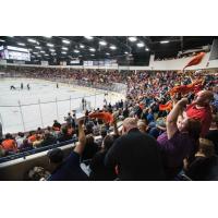 Flint Firebirds fans cheer on their team at the Dort Federal Credit Union Event Center