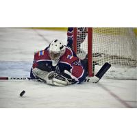 Evansville Thunderbolts goaltender Braeden Ostepchuk