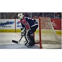 Evansville Thunderbolts goaltender Braeden Ostepchuk