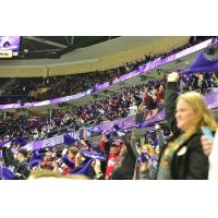 Cleveland Monsters Annual Purple Game