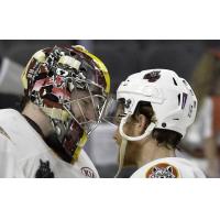 Chicago Wolves exchange a helmet bump