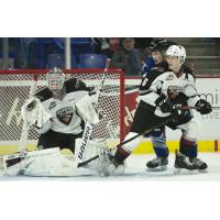 Vancouver Giants goaltender David Tendeck vs. the Victoria Royals