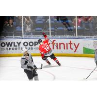 Will Pelletier of the Rockford IceHogs celebrates his first of two goals vs. the San Antonio Rampage