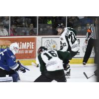 Utah Grizzlies center Josh Dickinson vs. the Idaho Steelheads