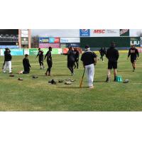 Long Island Ducks spring training workout