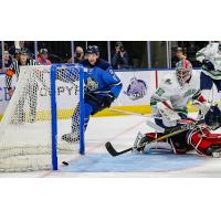 Jacksonville Icemen forward Cam Maclise reacts after a goal against the Florida Everblades