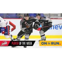 Vancouver Giants forward Dawson Holt