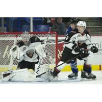 Vancouver Giants goaltender David Tendeck