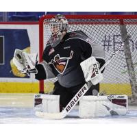 Vancouver Giants goaltender David Tendeck