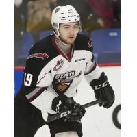 Vancouver Giants forward Dawson Holt