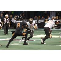 Iowa Barnstormers QB Drew Powell vs. the Arizona Rattlers