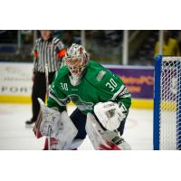 Florida Everblades goaltender Callum Booth