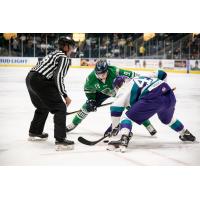 Florida Everblades forward Kyle Platzer faces off with the Orlando Solar Bears