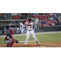 Payton Henry at bat for the Carolina Mudcats