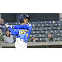 Aramis Ademan of the Myrtle Beach Pelicans