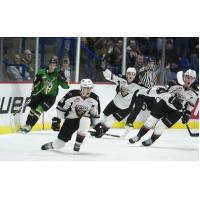 Vancouver Giants celebrate a goal against the Prince Albert Raiders