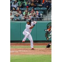 Yonny Hernandez of the Down East Wood Ducks awaits a pitch