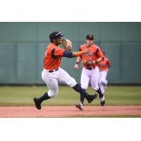 Bowling Green Hot Rods shortstop Wander Franco throws to first