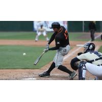 Matt den Dekker at bat for the Long Island Ducks