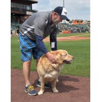 Boomer, bat dog of the York Revolution