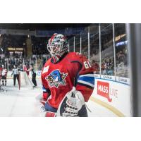 Springfield Thunderbirds goaltender Chris Driedger