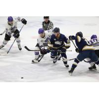 Tri-City Storm vs. the Sioux Falls Stampede