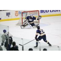 Sioux Falls Stampede goaltender Jaxson Stauber