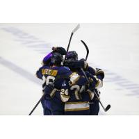 Sioux Falls Stampede celebrate against the Tri-City Storm