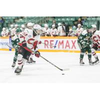 Fischer O'Brien with the Cariboo Cougars