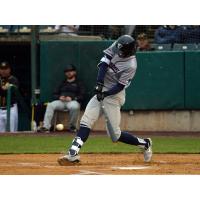 Will Kengor of the Somerset Patriots