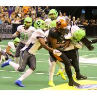 Darrell Monroe of the Arizona Rattlers is gang tackled by the Nebraska Danger